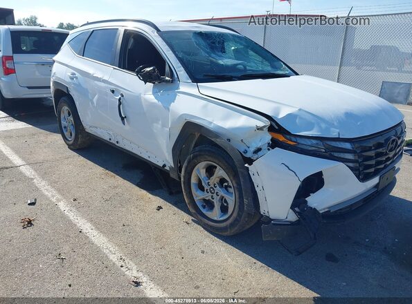 5NMJBCDE4RH422436 2024 HYUNDAI TUCSON Белый Вид спереди