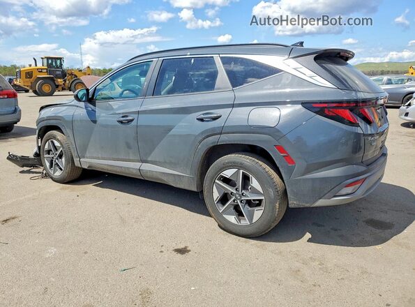 5NMJBCDE6SH488976 2025 HYUNDAI TUCSON Gray Задня ліва чверть