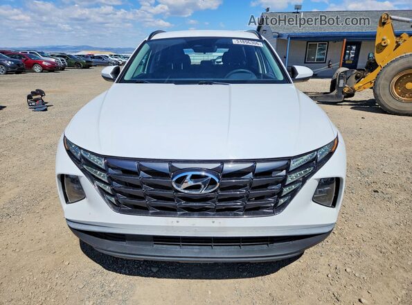 5NMJBCDEXRH325497 2024 HYUNDAI TUCSON White Widok z przodu