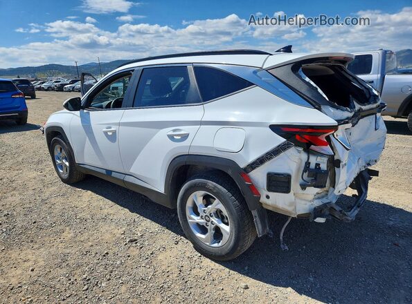 5NMJBCDEXRH325497 2024 HYUNDAI TUCSON White Tył lewy