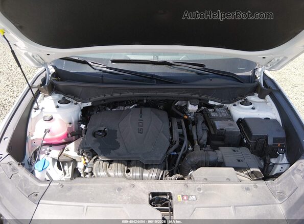 5NMJBCDEXSH558642 2025 HYUNDAI TUCSON White უკანა ხედი