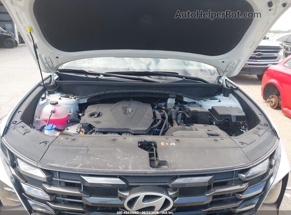 5NMJBCDEXTH638749 2026 HYUNDAI TUCSON White Вид ззаду
