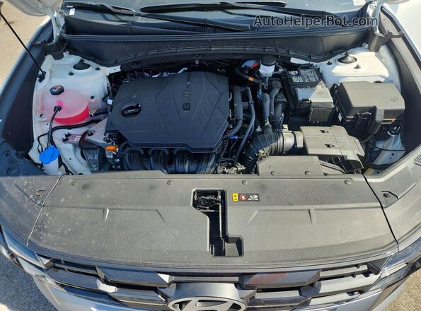 5NMJBCDEXTH704202 2026 HYUNDAI TUCSON White 