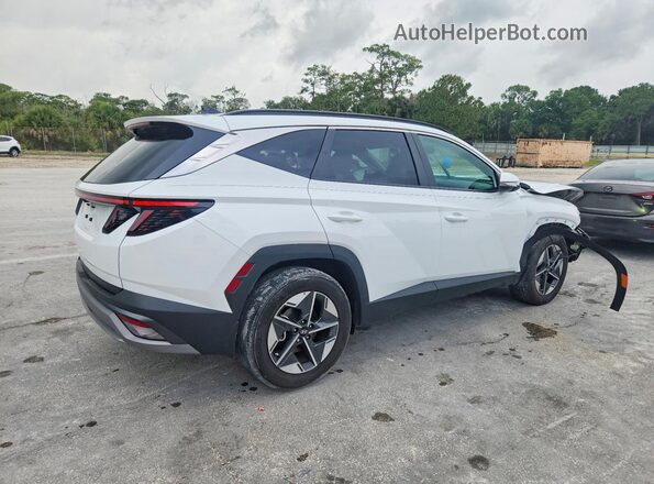 5NMJC3DE2SH502594 2025 HYUNDAI TUCSON White Задня права чверть