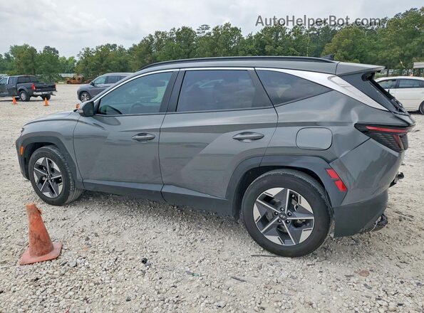 5NMJC3DEXSH491375 2025 HYUNDAI TUCSON Gray Задня ліва чверть