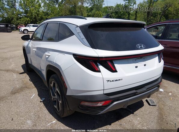5NMJE3AE0NH125220 2022 HYUNDAI TUCSON White უკანა მარცხენა