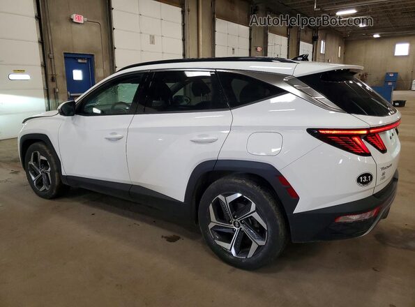 5NMJE3AEXPH273314 2023 HYUNDAI TUCSON White Trasero izquierdo