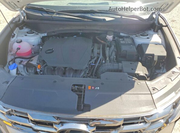 5NMJE3DE6SH552425 2025 HYUNDAI TUCSON Серебряный 