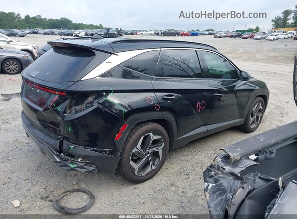 5NMJE3DEXRH331971 2024 HYUNDAI TUCSON Black Задня права чверть