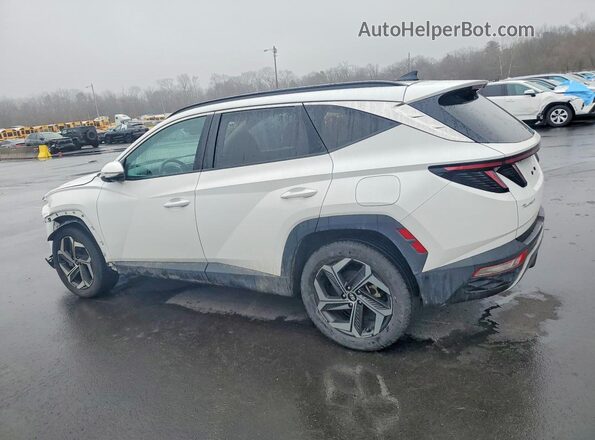 5NMJECAE0PH203529 2023 HYUNDAI TUCSON White 