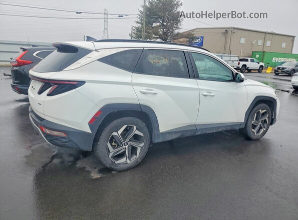 5NMJECAE0PH203529 2023 HYUNDAI TUCSON White 