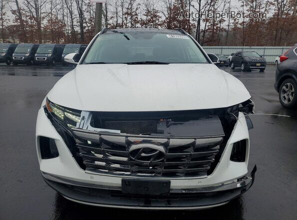 5NMJECAE0PH203529 2023 HYUNDAI TUCSON White 
