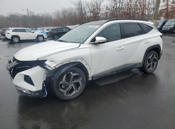 5NMJECAE0PH203529 2023 HYUNDAI TUCSON White 