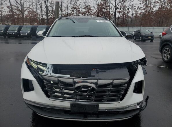 5NMJECAE0PH203529 2023 HYUNDAI TUCSON White 