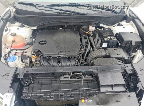 5NMJECAE0PH203529 2023 HYUNDAI TUCSON White 
