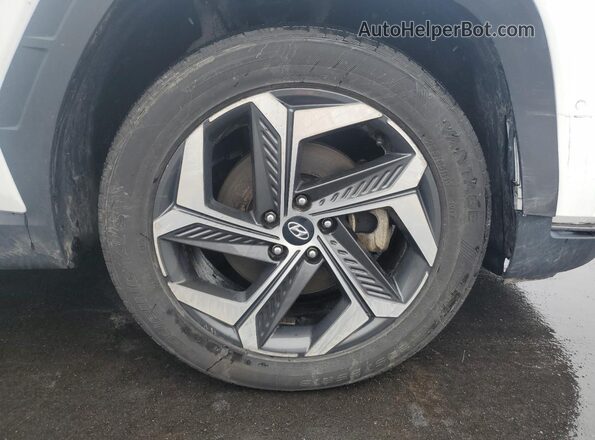 5NMJECAE0PH203529 2023 HYUNDAI TUCSON White 