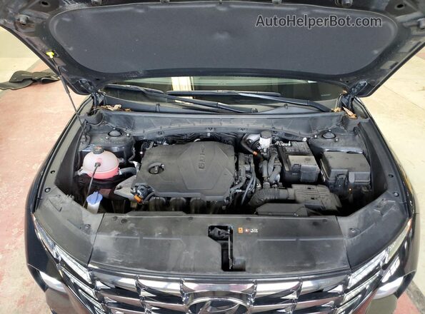 5NMJECAE1PH224096 2023 HYUNDAI TUCSON Черный 