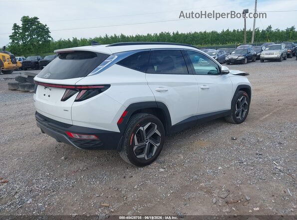 5NMJECAE2NH148000 2022 HYUNDAI TUCSON White Задня права чверть