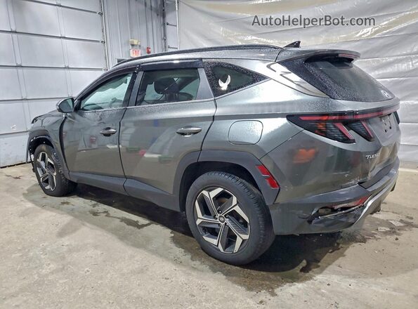 5NMJECAE3PH213892 2023 HYUNDAI TUCSON Gray Trasero izquierdo