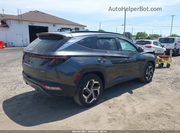 5NMJECAE4PH280257 2023 HYUNDAI TUCSON Gray Tył prawy