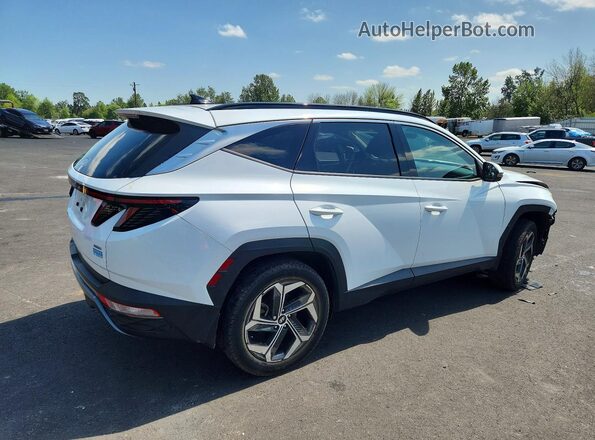 5NMJECAE5NH161341 2022 HYUNDAI TUCSON White უკანა მარჯვენა