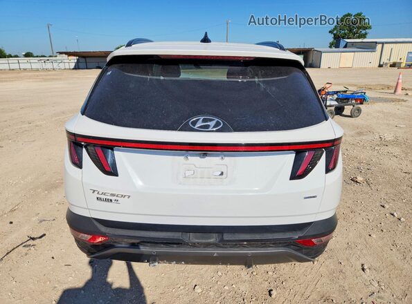 5NMJECAE8PH205643 2023 HYUNDAI TUCSON White Rear view