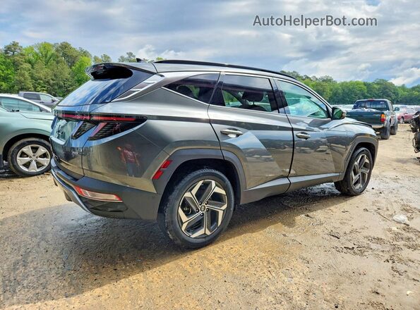 5NMJECAEXNH081713 2022 HYUNDAI TUCSON Gray Tył prawy