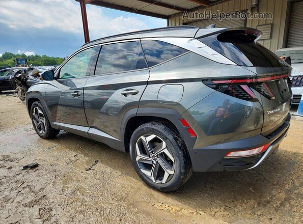 5NMJECAEXNH081713 2022 HYUNDAI TUCSON Gray Tył lewy