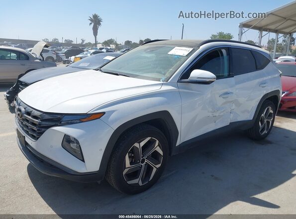 5NMJECAEXPH268260 2023 HYUNDAI TUCSON White Przód lewy