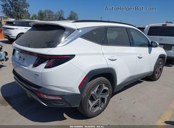 5NMJECAEXPH268260 2023 HYUNDAI TUCSON White Tył prawy