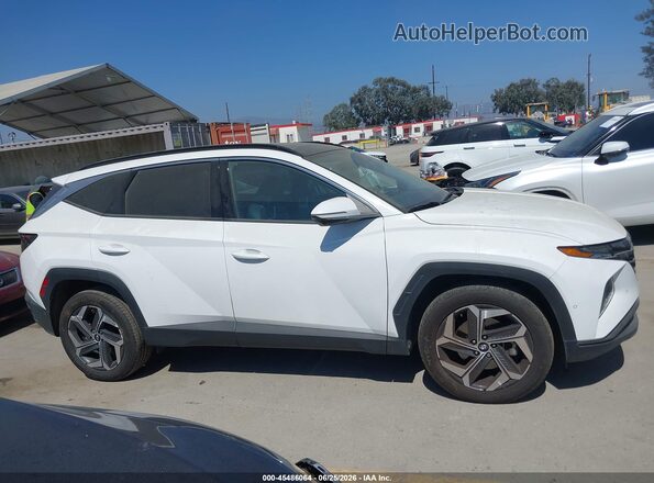 5NMJECAEXPH268260 2023 HYUNDAI TUCSON White Widok wnętrza z tyłu