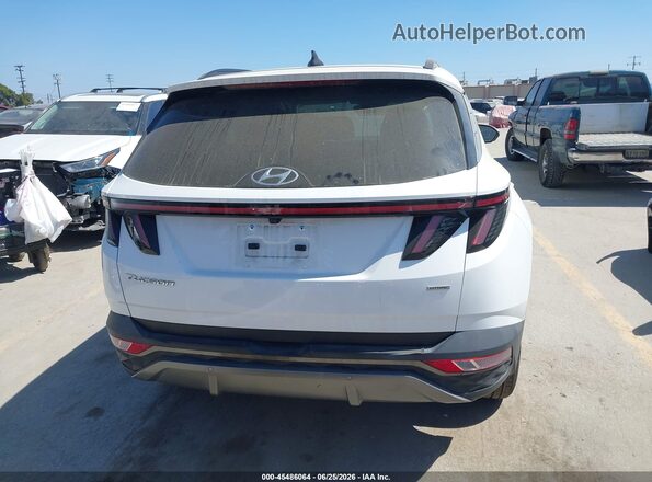 5NMJECAEXPH268260 2023 HYUNDAI TUCSON White 
