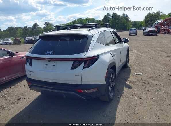 5NMJECDE0RH368575 2024 HYUNDAI TUCSON Белый Задняя правая четверть