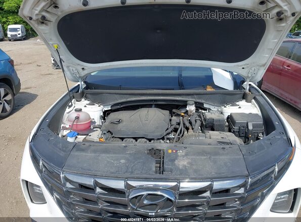 5NMJECDE0RH368575 2024 HYUNDAI TUCSON Белый Вид сзади