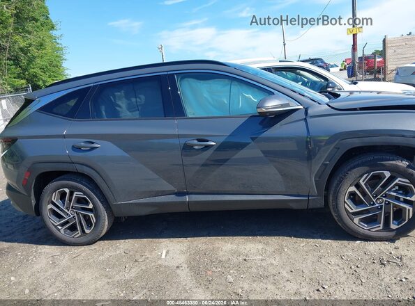 5NMJECDE5TH634566 2026 HYUNDAI TUCSON Gray Սալոնի հետևի տեսք