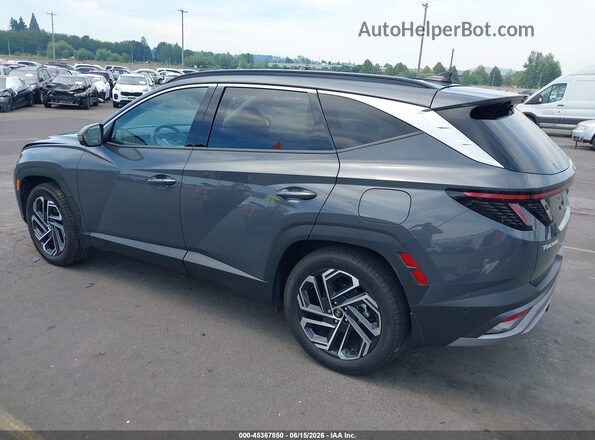 5NMJECDE9SH567341 2025 HYUNDAI TUCSON Gray უკანა მარცხენა