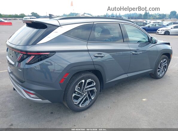 5NMJECDE9SH567341 2025 HYUNDAI TUCSON Gray უკანა მარჯვენა