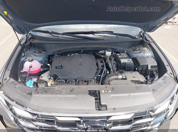 5NMJECDE9SH567341 2025 HYUNDAI TUCSON Gray უკანა ხედი
