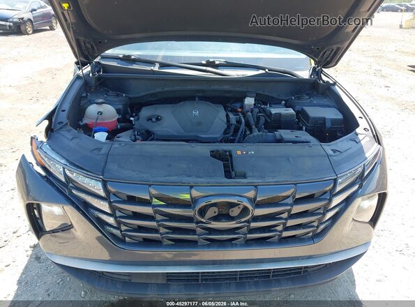 5NMJF3AE3PH234982 2023 HYUNDAI TUCSON Серый Вид сзади