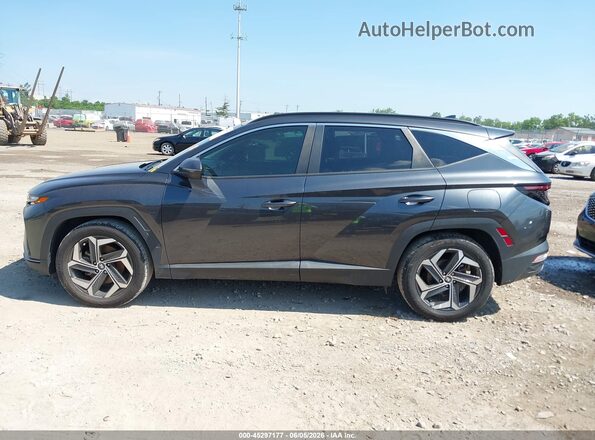5NMJF3AE3PH234982 2023 HYUNDAI TUCSON Серый Панорамный вид салона 360°