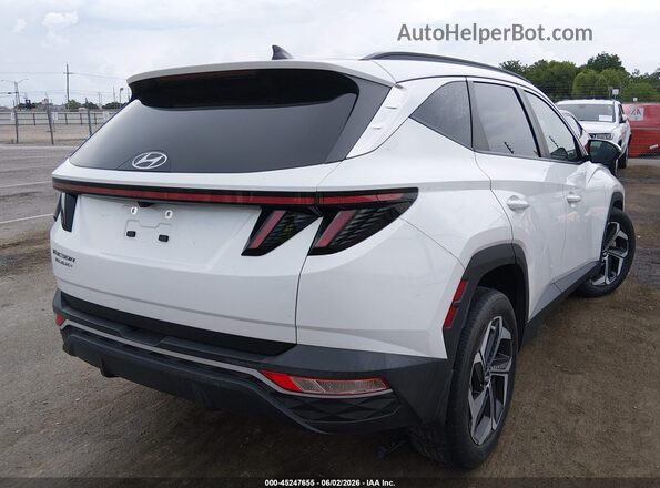 5NMJF3AE3PH235565 2023 HYUNDAI TUCSON White Задня права чверть