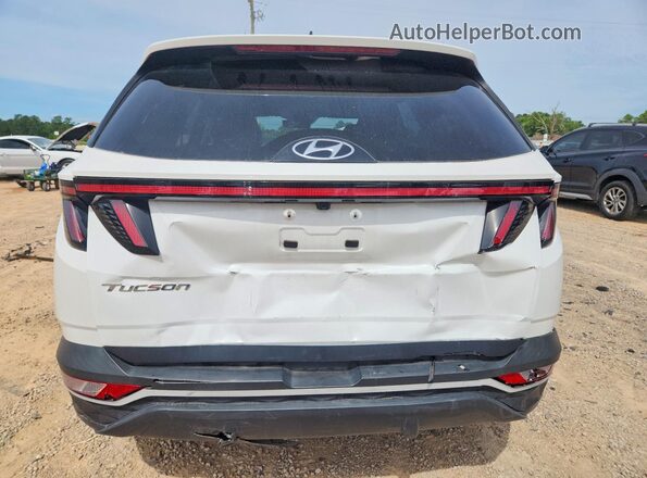 5NMJF3AE3PH254486 2023 HYUNDAI TUCSON White Rear view