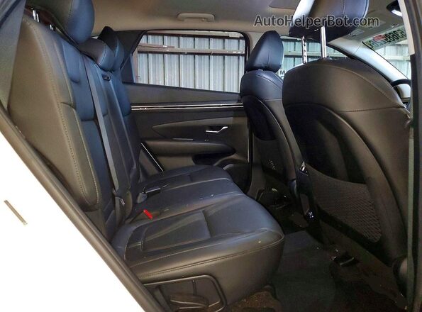 5NMJF3AE4PH284063 2023 HYUNDAI TUCSON White 