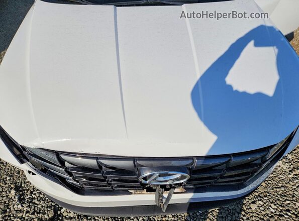 5NMJF3AE6PH250769 2023 HYUNDAI TUCSON White 
