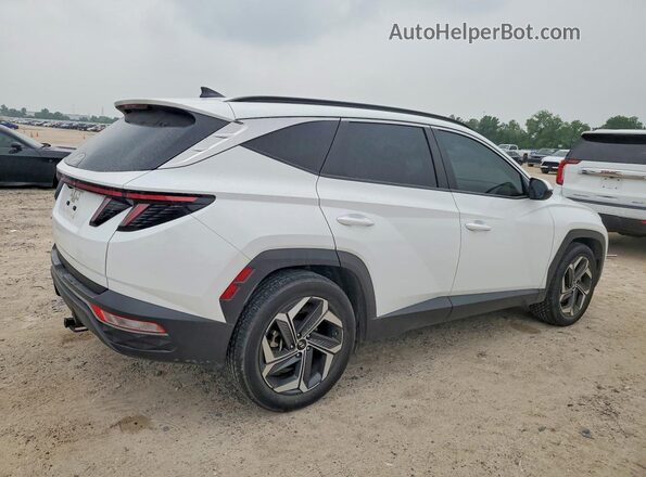 5NMJF3AE7PH290245 2023 HYUNDAI TUCSON Белый 