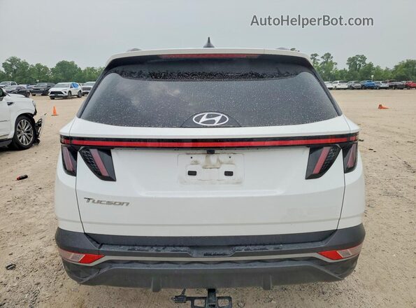 5NMJF3AE7PH290245 2023 HYUNDAI TUCSON Белый 