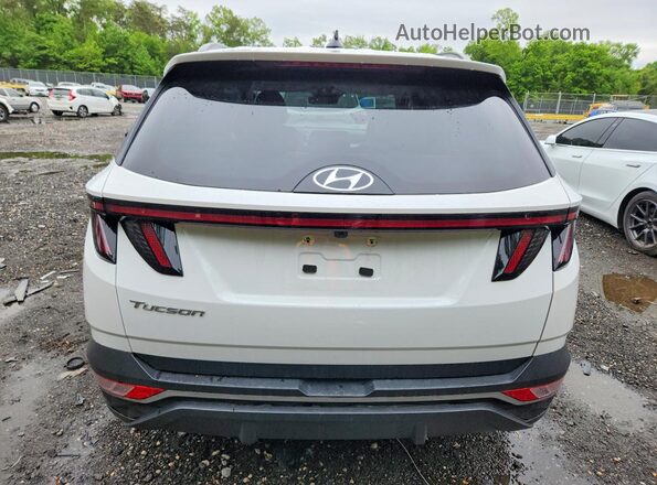 5NMJF3AE9PH219130 2023 HYUNDAI TUCSON Белый Вид сзади