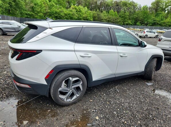 5NMJF3AE9PH219130 2023 HYUNDAI TUCSON Белый Задняя правая четверть