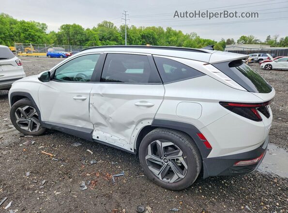 5NMJF3AE9PH219130 2023 HYUNDAI TUCSON Белый Задняя левая четверть