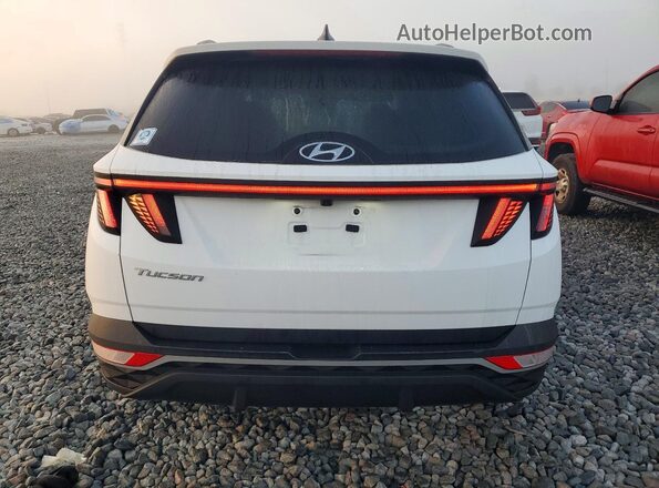 5NMJF3DE0RH369075 2024 HYUNDAI TUCSON Белый 